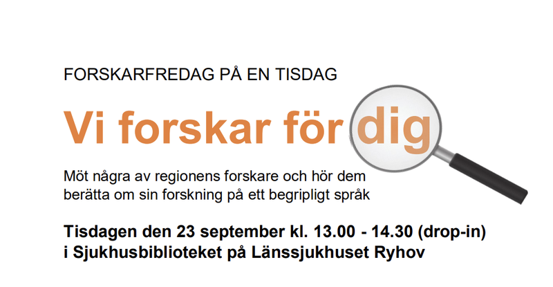 Skärmbild 2025-08-29 181826