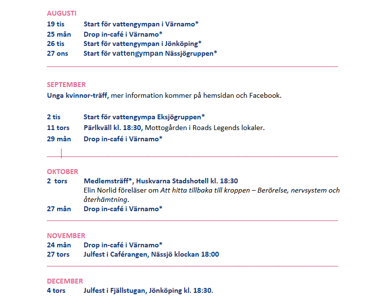Skärmbild 2025-08-15 175958